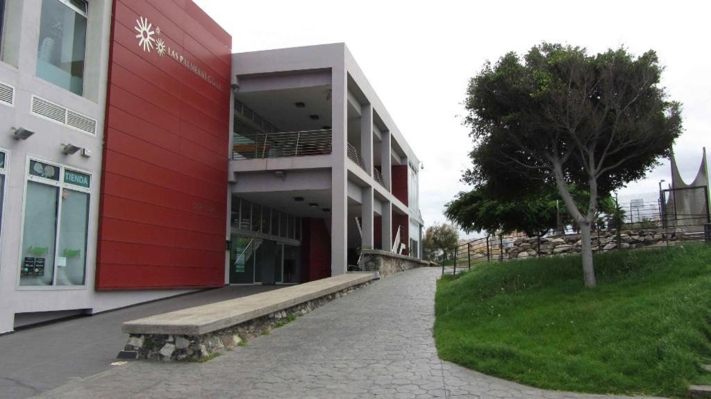 לאס פאלמס דה גראן קנאריה Lala Loft Las Canteras מראה חיצוני תמונה
